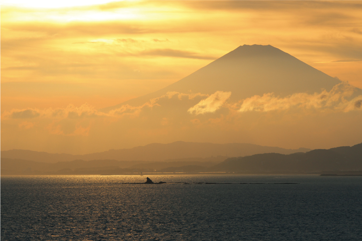 冨士見亭から富士山